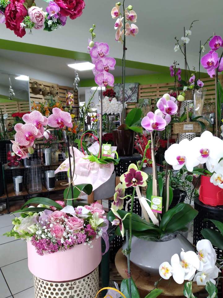 Cadeau floral Saint-Denis